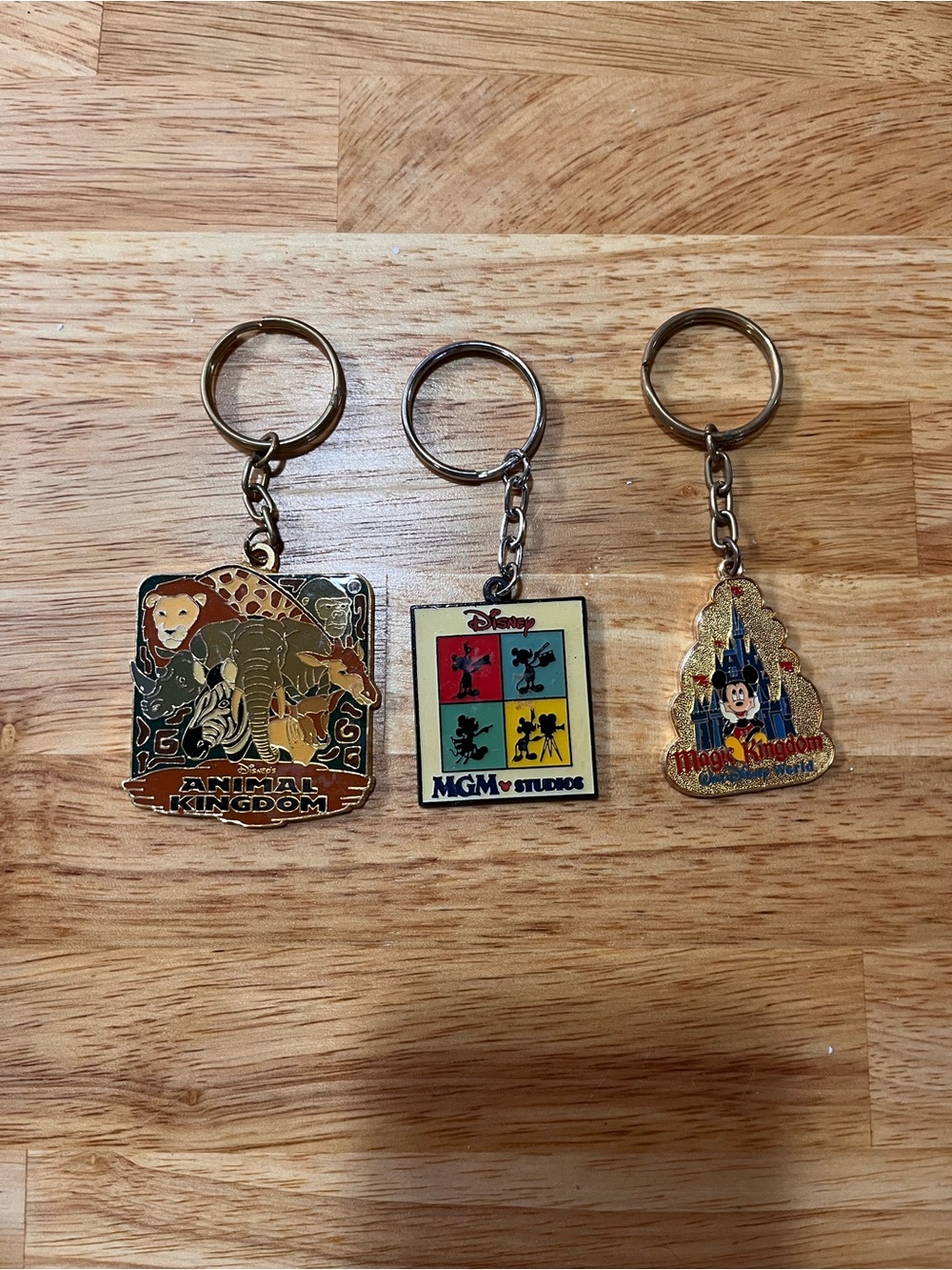 Disney Theme Park Keychain Lot - Animal Kingdom, MGM/Disney, Magic Kingdom